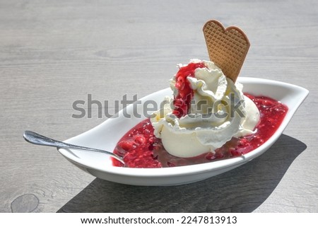 Vanilla ice cream with whipped cream and rote gruetze, a red fruit jelly from Germany and Denmark, summer dessert in a white bowl on a gray table, copy space, selected focus, narrow depth of field