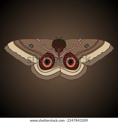 Single isolated colored butterfly Caligo atreus giant owl on a brown background. Vector illustration