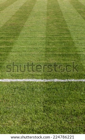 Closeup image of natural green grass soccer field