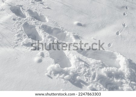 Human footprints in deep fresh snow