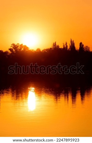 Sunset over a lake with ray cast on the lake, treeline in silhouette in the background during summer and sunburst. Big round sun is rising behind the trees over the water, orange and red dramatic sky