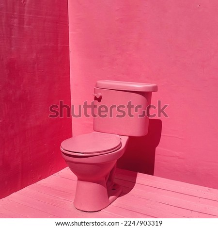 abstract art pink toilet picture takes on monochromatic