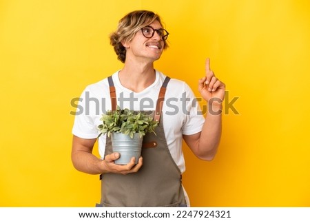 Gardener blonde man holding a plant isolated on yellow background pointing up a great idea