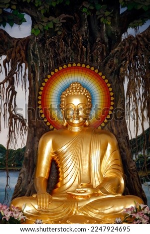 Buddhist temple.  Main altar with golden Buddha statue.  Buddha sitting in the meditation pose. Bodhi tree. Statue. Hoi An. Vietnam.  Royalty-Free Stock Photo #2247924695