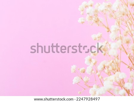Beautiful flower background of pastel gypsophila flowers. Flat lay, top view. 