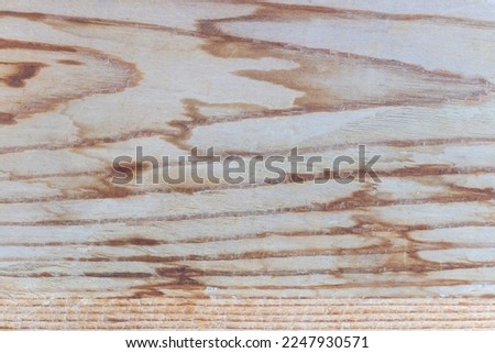 Rustic Charm: A Close-Up Shot of a Natural Wooden Texture