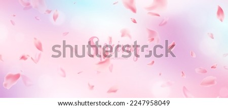 spring banner template cherry blossom vector illustration design Royalty-Free Stock Photo #2247958049