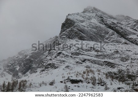 View of winter snow storm in Valle Aurina near Prettau village, Alto Adige, Italy