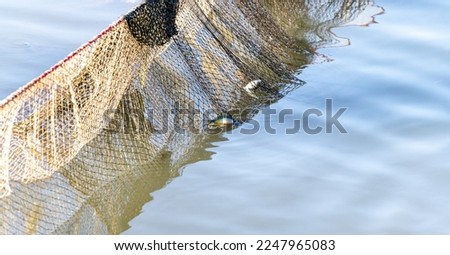 a fisherman is catching fish by net in a lake