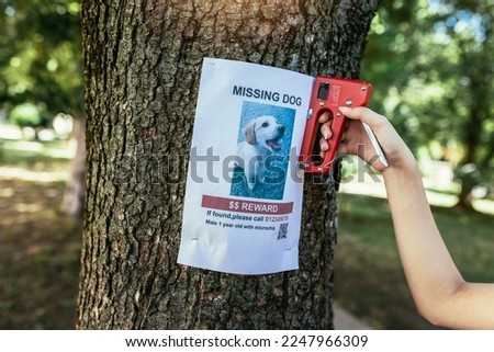 Children are looking for a missing dog, putting up posters.