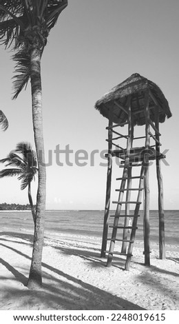Black and white picture of a tropical beach.