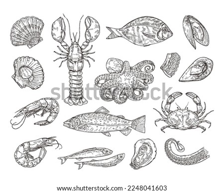 Hand drawn seafood. Hand drawn crab, shrimp and octopus. Sea scallops, shellfish and salmon vector illustration set. Engraved prawns, mussels and lobster isolated on white, sketch ingredients Royalty-Free Stock Photo #2248041603