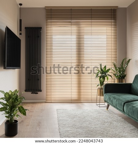 Big window with wooden blinds in small living room with tv, green sofa and plants Royalty-Free Stock Photo #2248043743