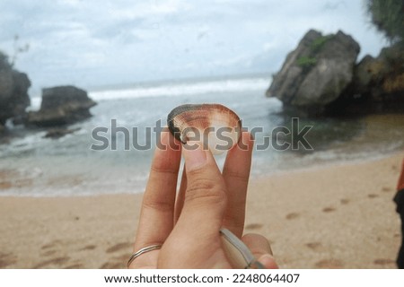 Asian woman's hand holding a seashell