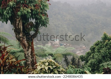beautiful and cool scenery in the Gunung Bunder area, Bogor, West Java Royalty-Free Stock Photo #2248086435