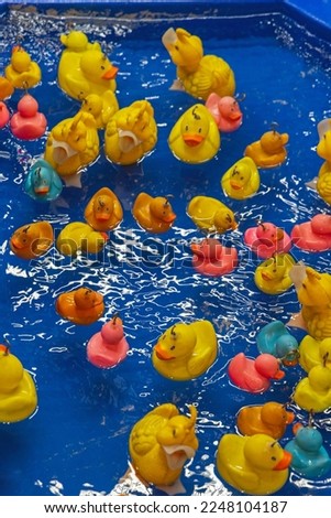 Fishing Rubber Ducks in Pool Amusement Park Game