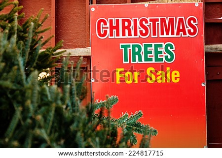 Fresh balsam fir Christmas trees for sale.