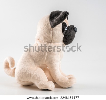 Soft children's toy dog on a white background.