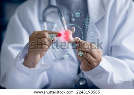 Doctor with human stomach and medical interface icons, medical and healthcare concepts.  Royalty-Free Stock Photo #2248198585