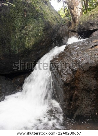 A small waterfall in a forest , Picture from close
