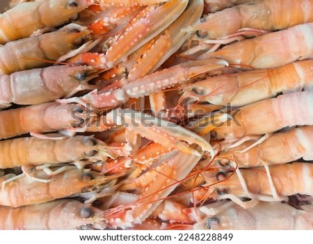 seafood prawns prawns crustaceans typical of Spanish food