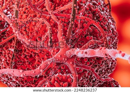 Free photo representation of microorganisms concept

