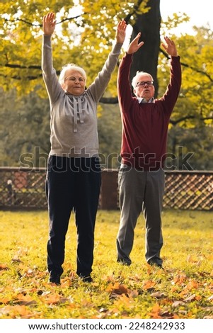 Senior man and woman exercising in the park . High quality photo