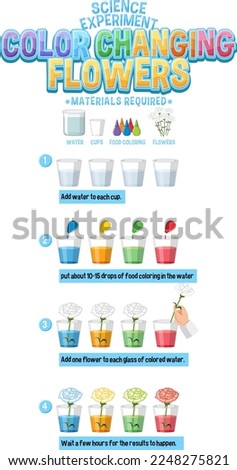 Color Changing Flowers Science Experiment illustration