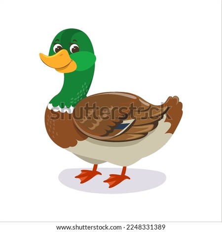 Cute funny Duck drake . Vector children's illustrations for farm animals, poultry, countryside concepts