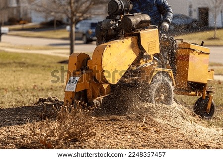 A tree serviceman is grinding the stump of a recently removed tree from a residential area. He is operating a heavy duty stump grinder with tires and rotating blades. Concept for arboreal services Royalty-Free Stock Photo #2248357457