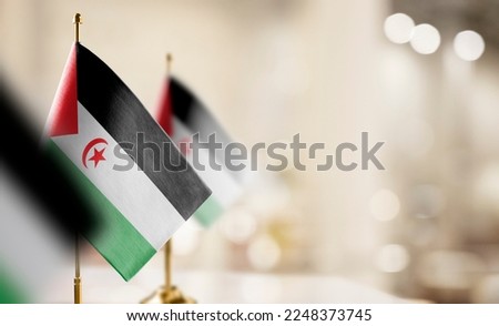 Small flags of the Sahrawi on an abstract blurry background.