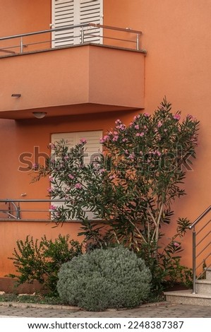 House with white shutters and flowering bushes in the suburbs.