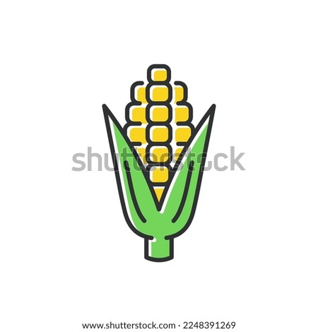 Corn line color icon. Ear of corn vector sign.