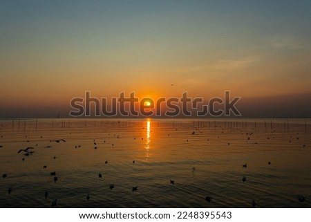 Beautiful sunset over the sea with seagulls silhouette in flight over sea at Thailand.