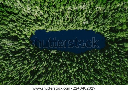Aerial view of green wild forest and deep blue lake in summer Finland