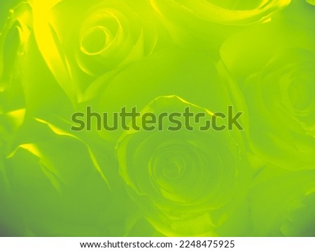 Beautiful abstract green flowers on yellow background, yellow flower frame, green leaves texture, green background, dark theme, green leaves texture, flowers for Christmas and Valentine celebrations