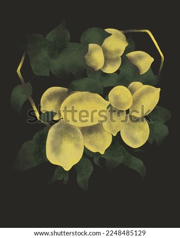 lemons in vintage style on black background, botanical floral illustration