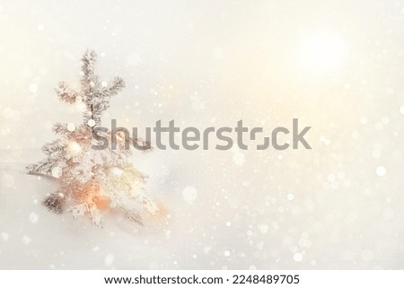Merry Christmas and Happy New Year. Frozen winter forest with snow covered trees. outdoor