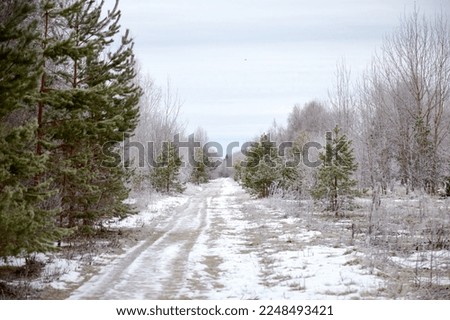 Countryside road trough a forest covered with hoar frost and snow, selective focus. High quality photo