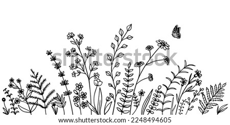 Wild field flowers. Hand drawn doodle sketch style wild floral element for nature spring background with butterfly Royalty-Free Stock Photo #2248494605