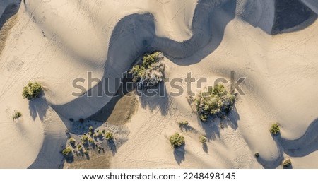 Aerial landscape shots, summer and free space