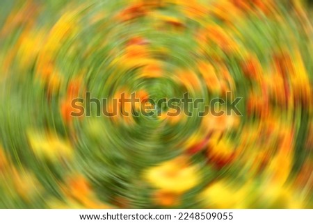 Beautiful multicolored blurred background. Abstract background. High resolution photo. Selective focus.