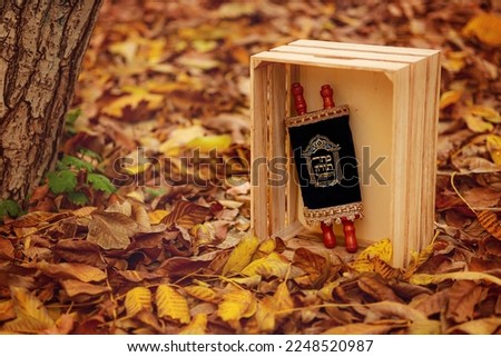 A Torah book placed inside a wooden box in a closet - a Jewish accessory inscribed in Hebrew "The Magnificent Torah Book" Royalty-Free Stock Photo #2248520987