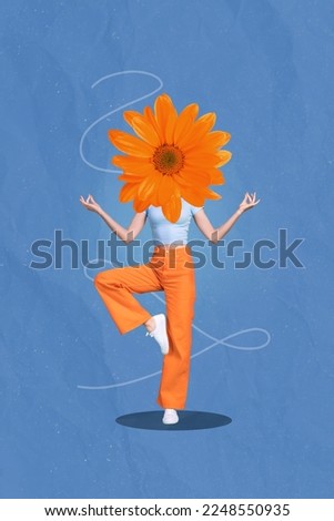 Photo artwork minimal collage picture of charming lady flower instead of head practicing yoga isolated drawing background