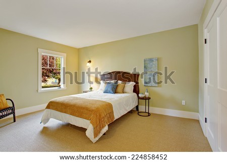 Light mint bedroom interior with closet and single bed