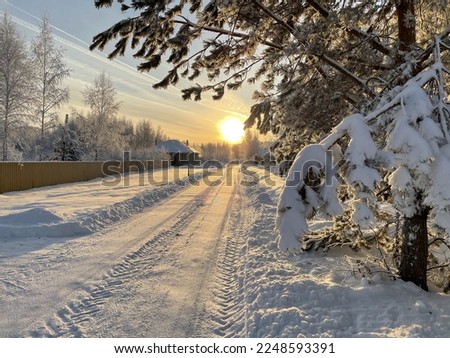 Winter morning road towards the sun in the village. Snow lies on the branches of coniferous trees. Dawn or sunset.