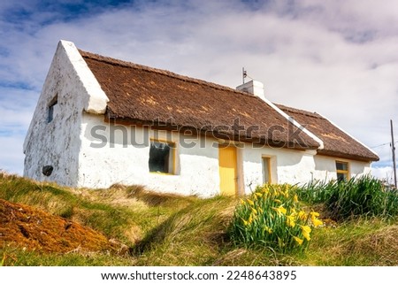 Seaside Thatched roof cottage with yellow door and daffodils  Royalty-Free Stock Photo #2248643895