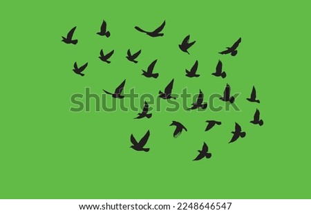 3d illustration - Birds Flying on Green background - with green background. number of birds and how they fly away- Vector, Vector background, shadow black ink icons of crane birds- Bird fly