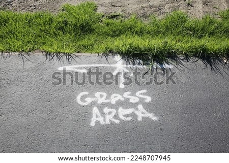 GRASS AREA. Spray Painted words GRASS AREA on blacktop pointing to green grass and weeds. White Spray Paint. Cement sidewalk. black top road. walking path. 