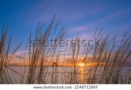 Sunrise over the sea and beautiful cloudscape. Colorful ocean beach sunrise with deep blue sky and sun rays. Sunset at the beach with tall grass. Travel photo, nobody, copy space for text